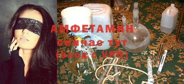стаф Алексин