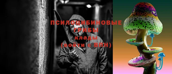 мдпв Алзамай