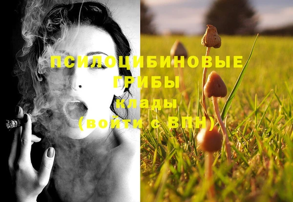 стаф Алексин