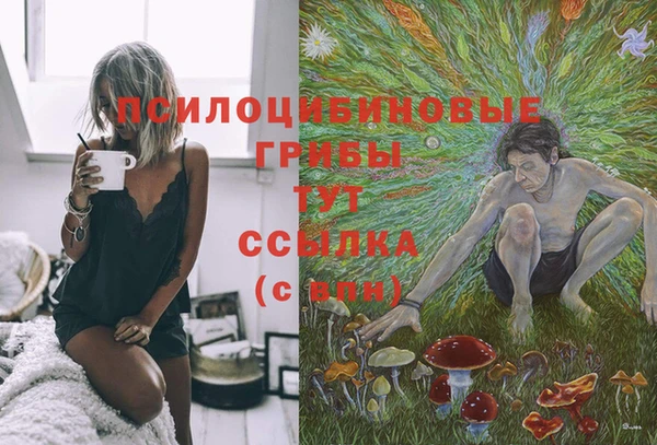 стаф Алексин