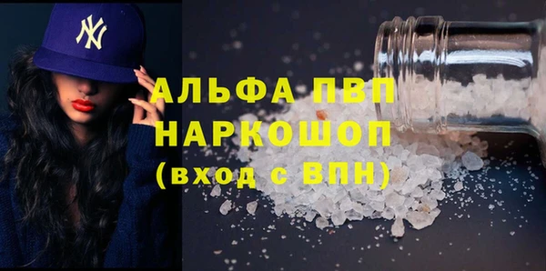стаф Алексин