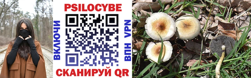Галлюциногенные грибы мухоморы Кирс